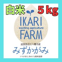 【５年産】みずかがみ　白米5kg