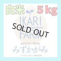 【6年産】みずかがみ　白米5kg　