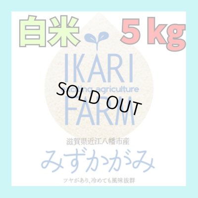 画像1: 【6年産】みずかがみ　白米5kg　