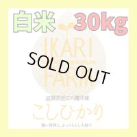 新米【６年産】コシヒカリ　白米30kg（30ｋｇ×1袋）