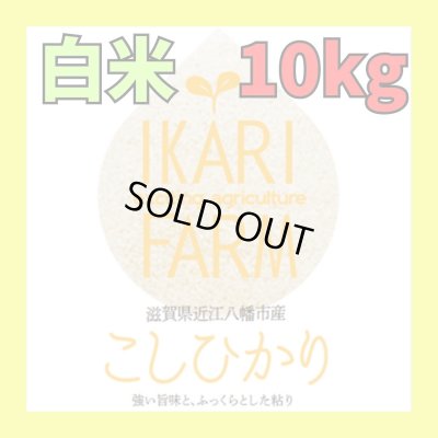 画像1: 新米【６年産】コシヒカリ　白米10kg（5ｋｇ×2袋）