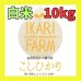 画像1: 新米【５年産】コシヒカリ　白米10kg（5ｋｇ×2袋） (1)