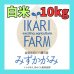 画像1: 【６年産】みずかがみ　白米１０kg（5ｋｇ×２袋）　 (1)