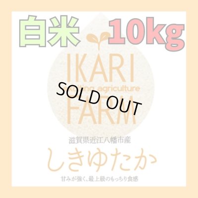 画像1: 新米【６年産】しきゆたか　白米１０kg（5ｋｇ×2袋）