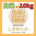 画像1: 新米【６年産】しきゆたか　白米１０kg（5ｋｇ×2袋） (1)