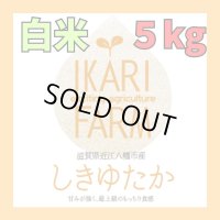 新米【６年産】しきゆたか　白米5kg