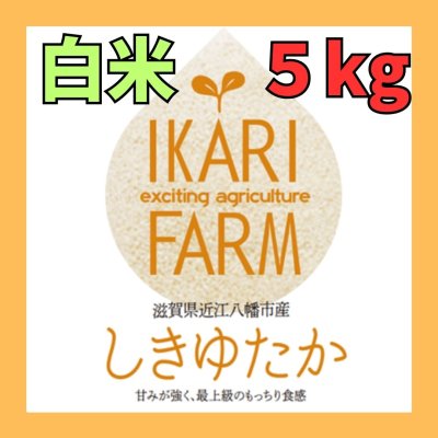 画像1: 新米【７年産】しきゆたか　白米5kg