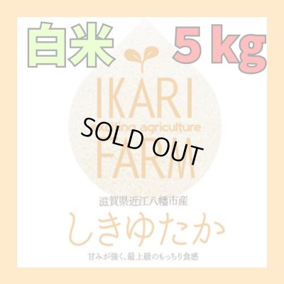 新米【７年産】しきゆたか　白米5kg