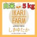 画像1: 新米【６年産】しきゆたか　白米5kg (1)