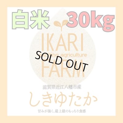 画像1: 新米【６年産】しきゆたか　白米３０kg