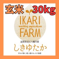 新米【７年産】しきゆたか　玄米３０kg