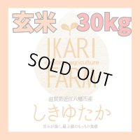 【６年産】しきゆたか　玄米３０kg