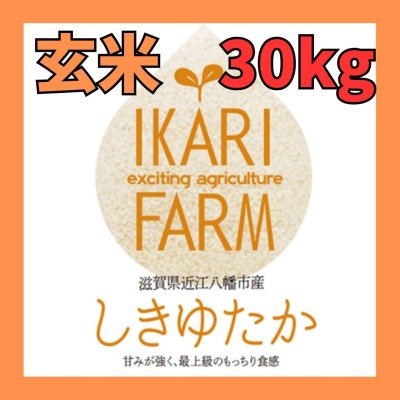 画像1: 新米【７年産】しきゆたか　玄米３０kg
