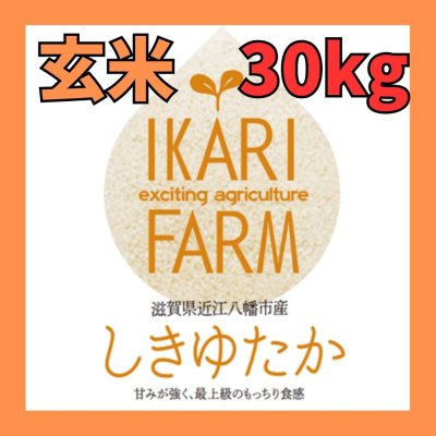 画像1: 【５年産】しきゆたか　玄米３０kg