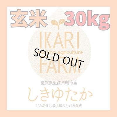 画像1: 【６年産】しきゆたか　玄米３０kg