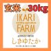 画像1: 【６年産】しきゆたか　玄米３０kg (1)