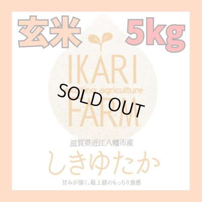 画像1: 新米【６年産】しきゆたか　玄米5kg