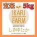 画像1: 新米【６年産】しきゆたか　玄米5kg (1)