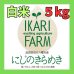 画像1: 新米【６年産】にじのきらめき　白米５kg (1)