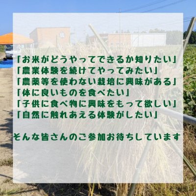 画像5: 自然農法のお米作り体験