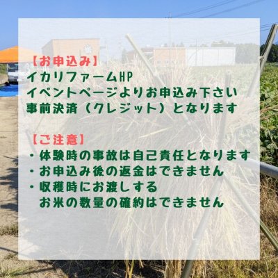 画像4: 自然農法のお米作り体験