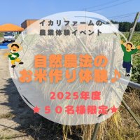 自然農法のお米作り体験