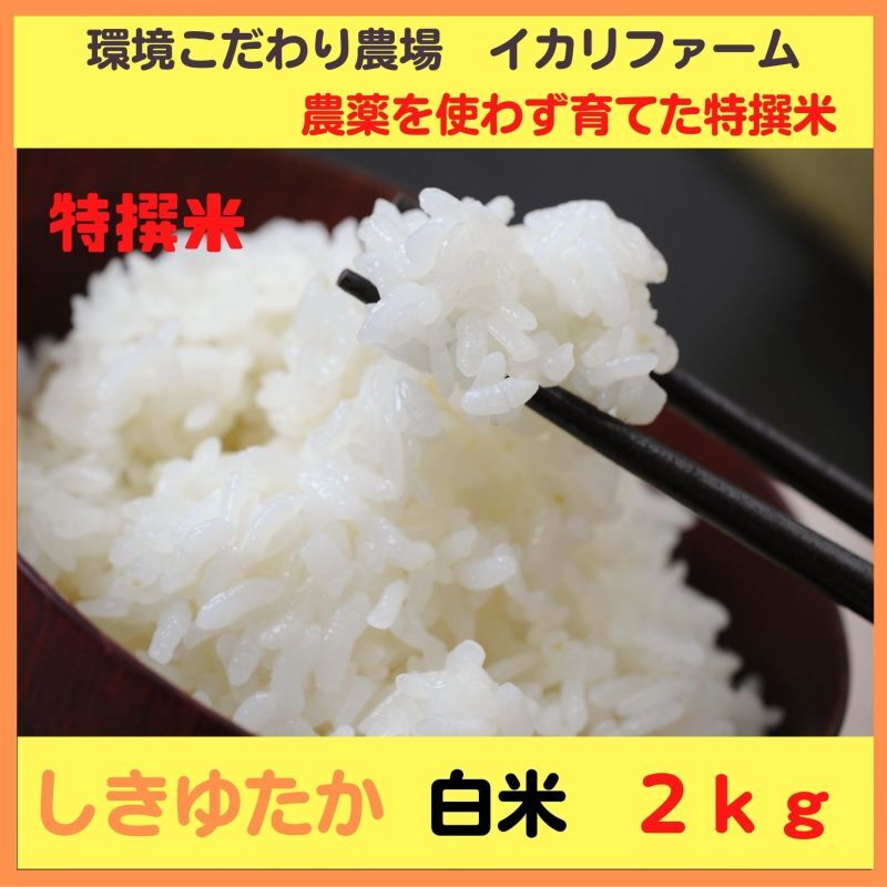 【４年産】特撰米　しきゆたか　白米２kg　