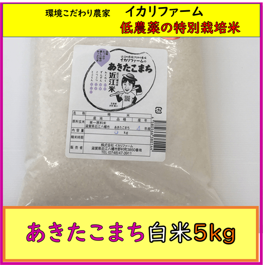 【４年産】あきたこまち　白米5kg