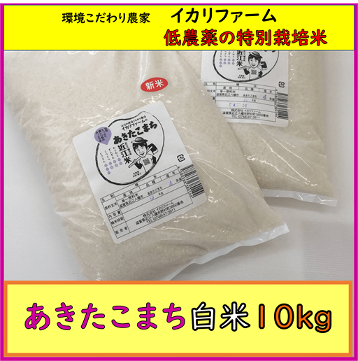 【４年産】あきたこまち　白米10kg