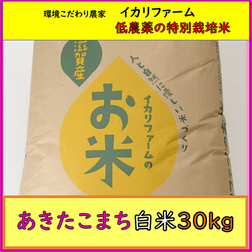 【４年産】あきたこまち　白米30kg