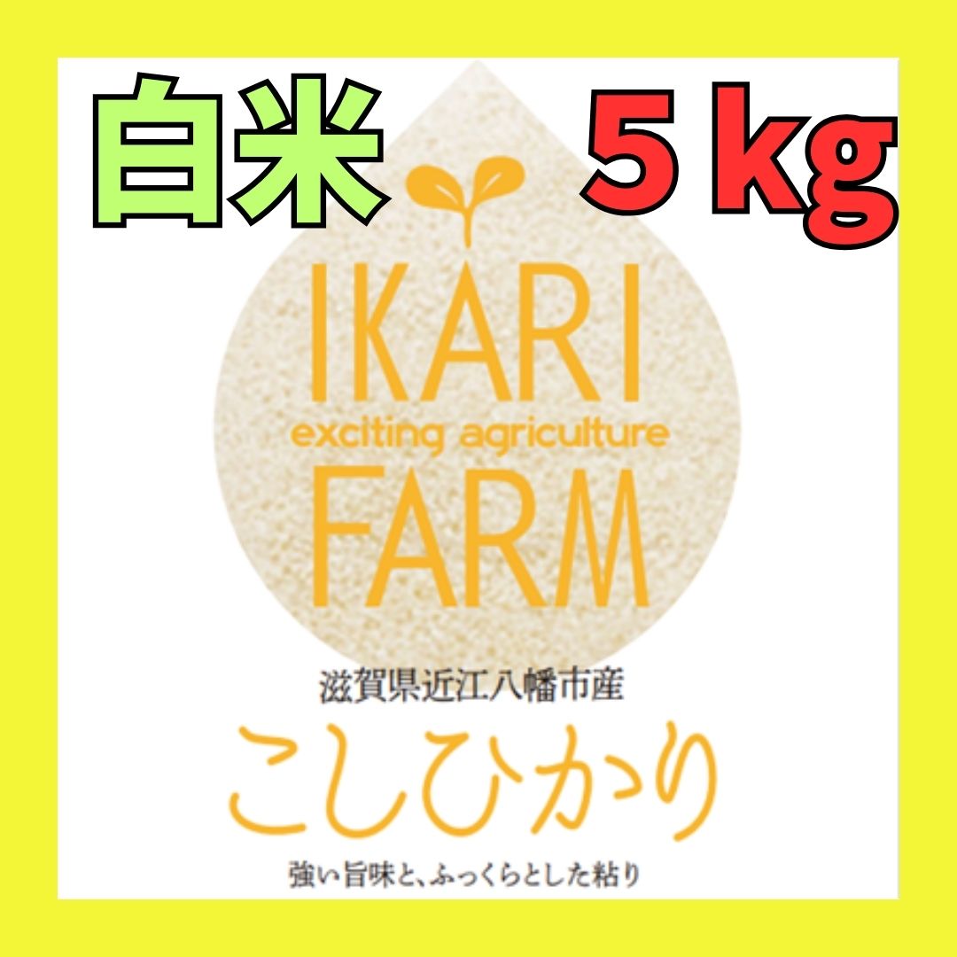 新米【５年産】コシヒカリ　白米5kg