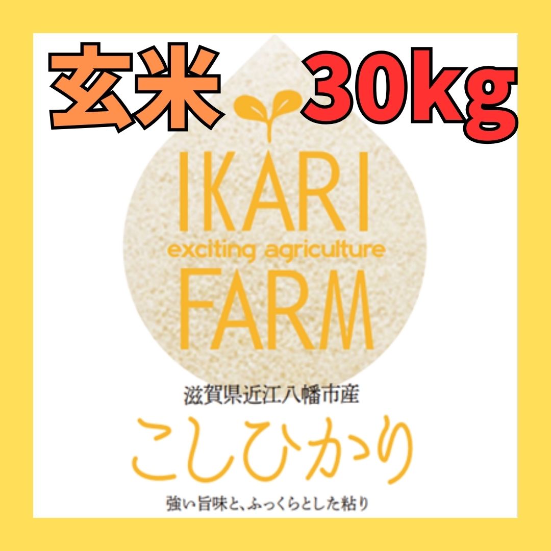 新米【５年産】コシヒカリ　玄米30kg（30ｋｇ×1袋）