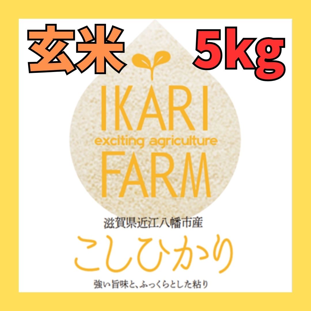 新米【５年産】コシヒカリ　玄米5kg