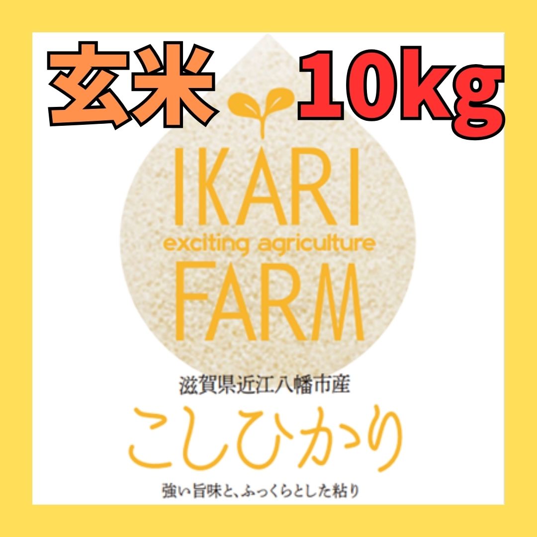 新米【５年産】コシヒカリ　玄米10kg（5ｋｇ×2袋）