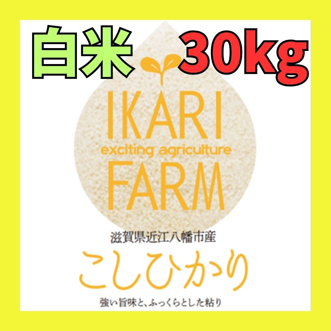 新米【５年産】コシヒカリ　白米30kg（30ｋｇ×1袋）