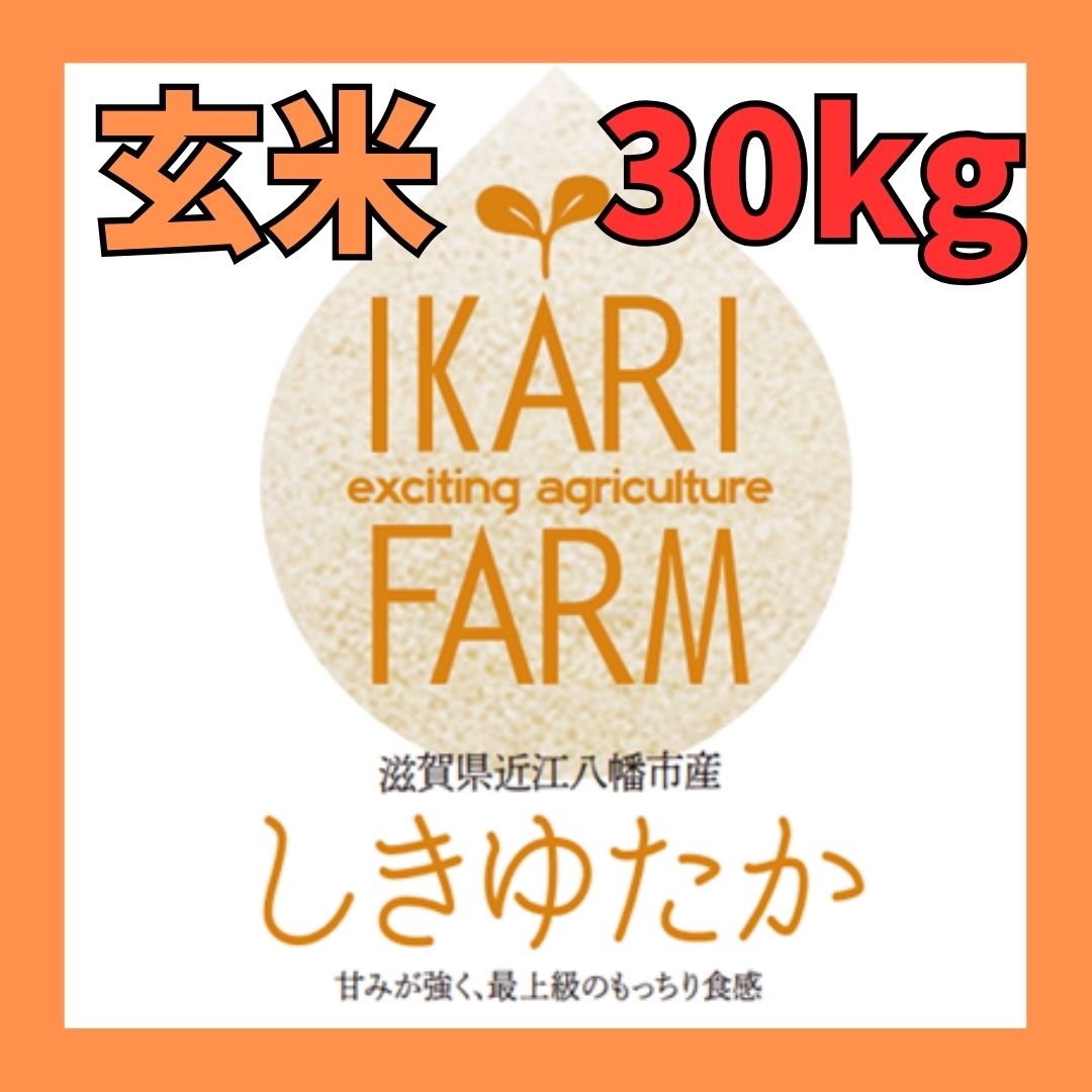 【５年産】しきゆたか　玄米３０kg