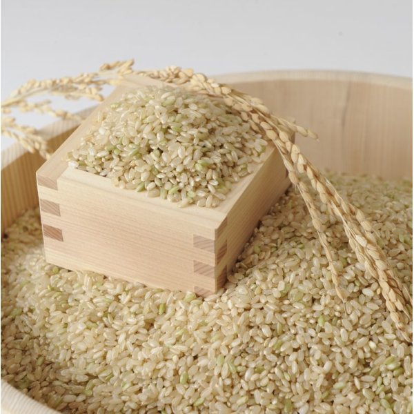 画像2: 【５年産】みずかがみ　玄米１０kg（5ｋｇ×２袋） (2)