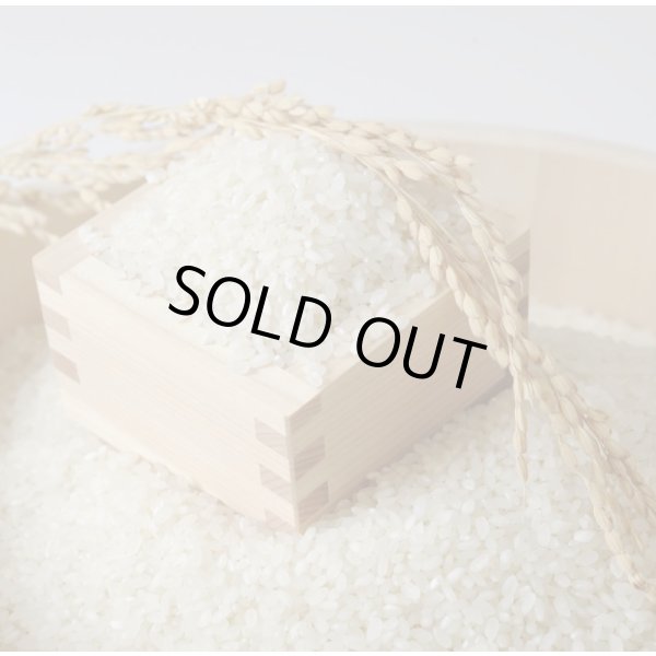 画像2: 新米【７年産】みずかがみ　白米３０kg　　 (2)