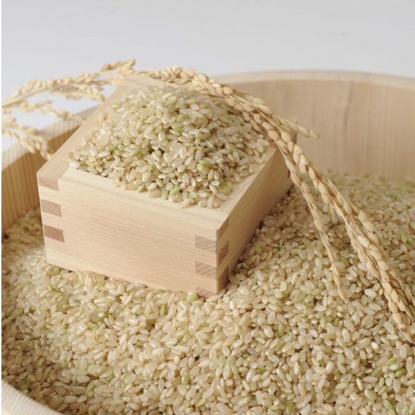 画像2: 新米【７年産】みずかがみ　玄米３０kg　 (2)