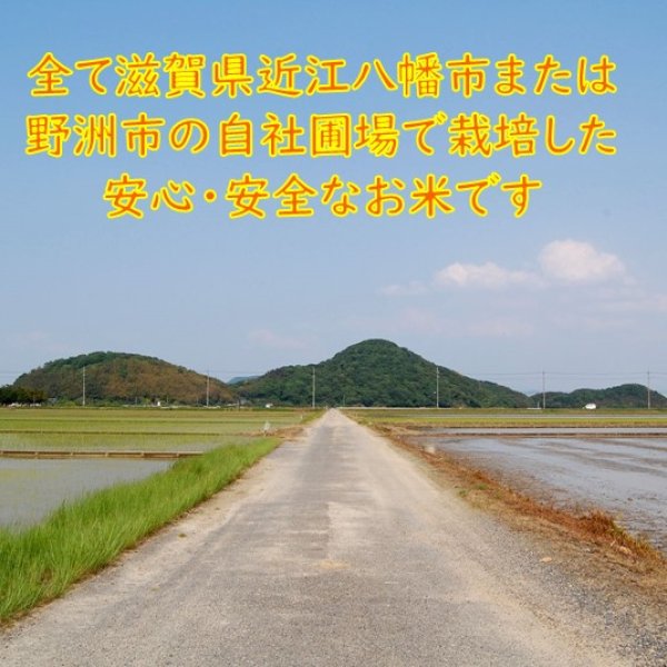 画像6: 新米【７年産】にじのきらめき　白米30kg (6)