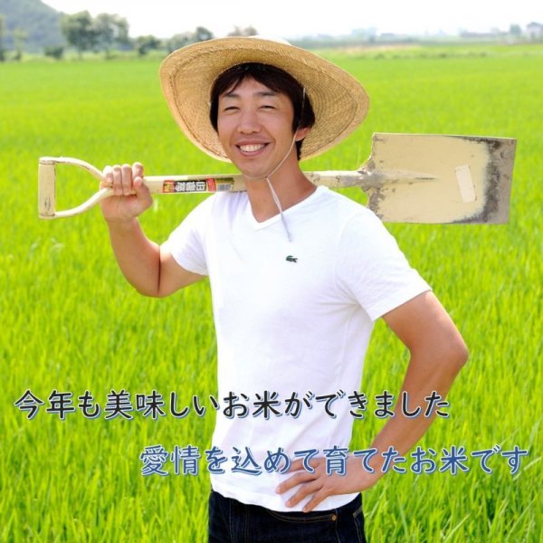 画像8: 新米【７年産】みずかがみ　玄米５kg　 (8)