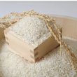 画像2: 新米【６年産】しきゆたか　白米３０kg (2)