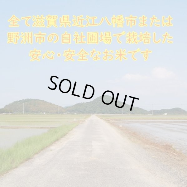 画像6: 新米【７年産】しきゆたか　玄米5kg (6)