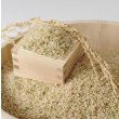画像2: 新米【６年産】しきゆたか　玄米5kg (2)