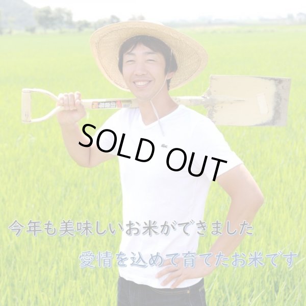 画像7: 新米【７年産】しきゆたか　玄米5kg (7)