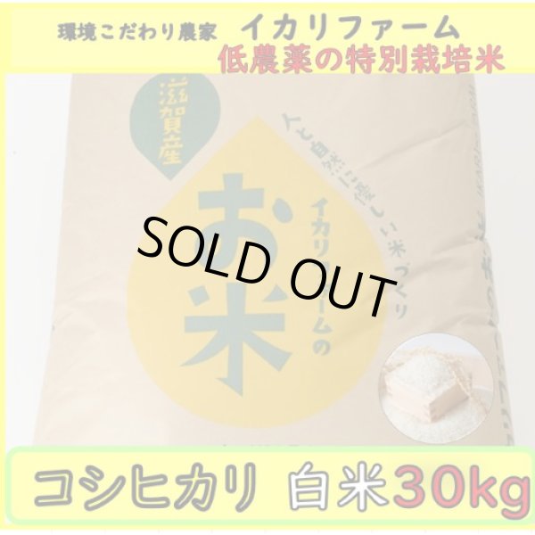 画像2: 新米【６年産】コシヒカリ　白米30kg（30ｋｇ×1袋） (2)