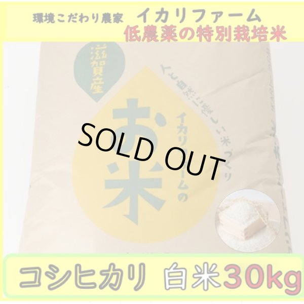 画像2: 新米【５年産】コシヒカリ　白米30kg（30ｋｇ×1袋） (2)