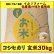 画像2: 新米【５年産】コシヒカリ　玄米30kg（30ｋｇ×1袋） (2)