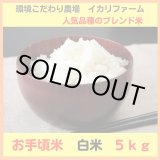 画像: 【６年産】お手頃米　白米　5ｋｇ