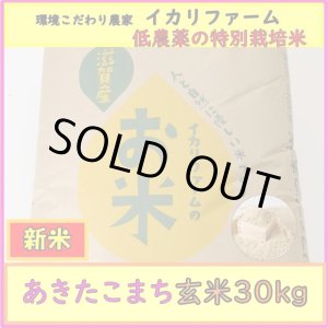 画像: 【４年産】あきたこまち　玄米30kg